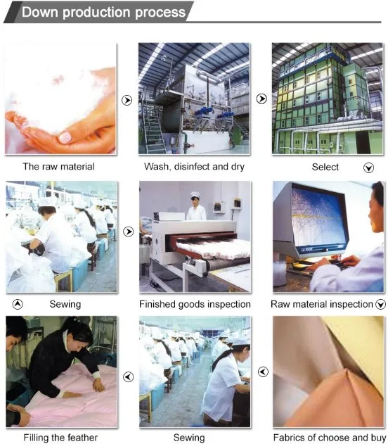 10% Goose Down Pillow White for Home