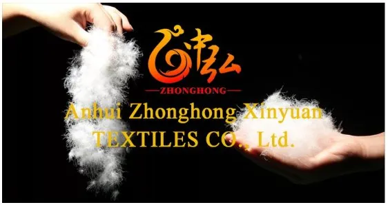 10% Goose Down Pillow White for Home