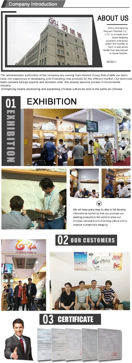 10% Goose Down Pillow White for Home