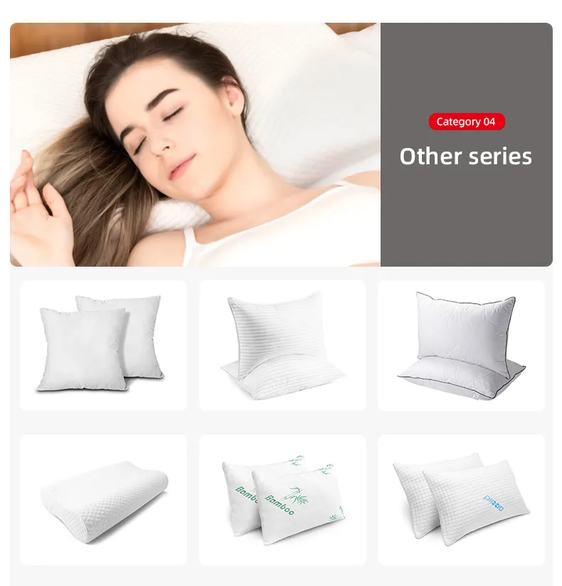 2014 Novel Design Buckwheat Healthy Pillow