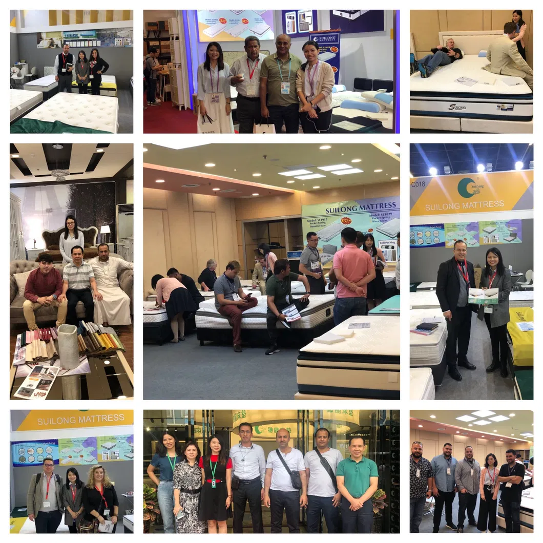 Elegant King Size Euro-Top Design Gel Memory Foam Pocket Spring Rolled Mattress (SL2112)