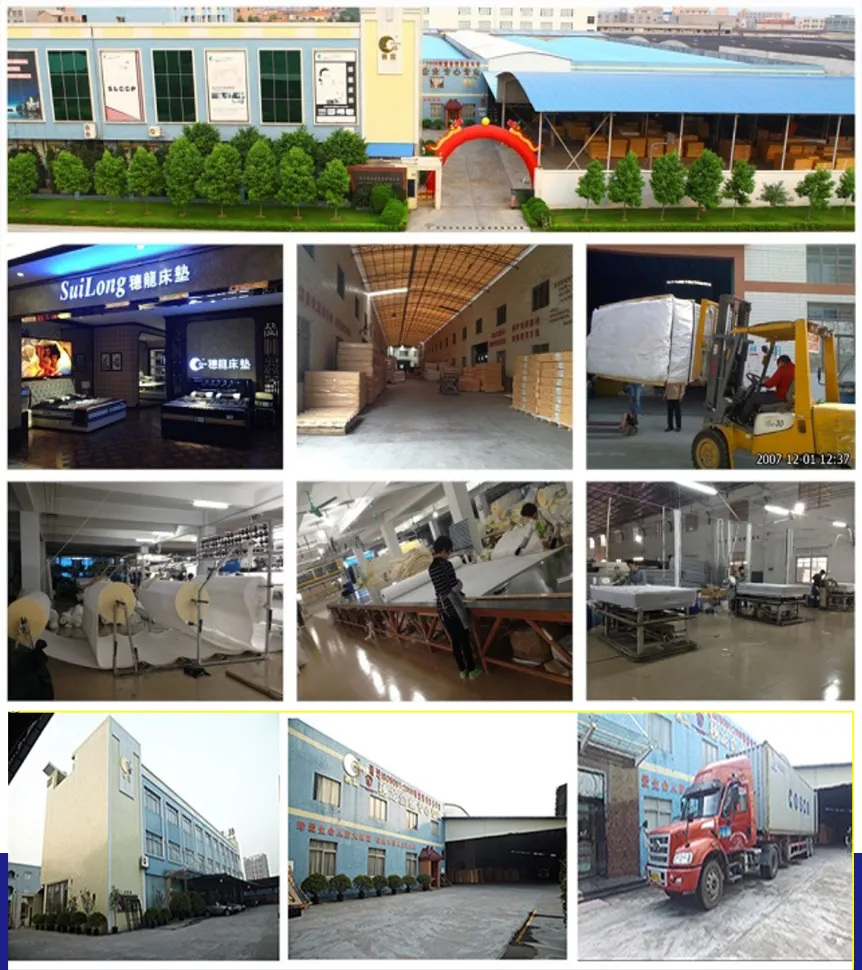 Elegant King Size Euro-Top Design Gel Memory Foam Pocket Spring Rolled Mattress (SL2112)