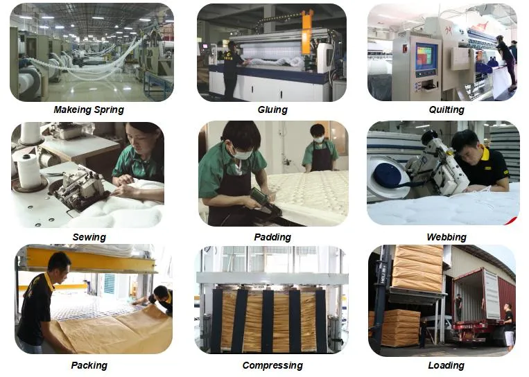 Elegant King Size Euro-Top Design Gel Memory Foam Pocket Spring Rolled Mattress (SL2112)