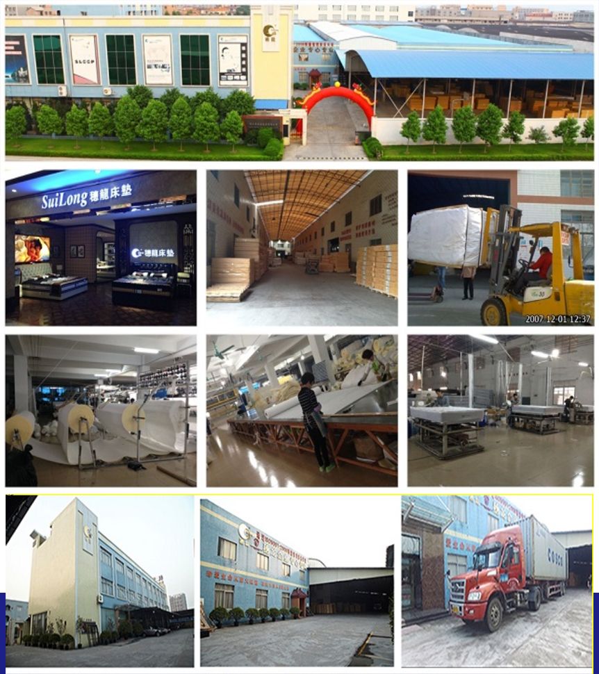 Euro Top Design Latex and Memory Foam Pocket Spring in 3 Zones Rolled Mattress