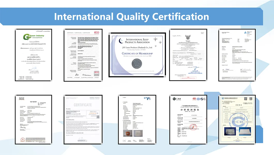 Europe Style Comfortable Latex Mattress Premium New Arrival King Queen Size 15cm Thickness Relaxor Massage Cushion