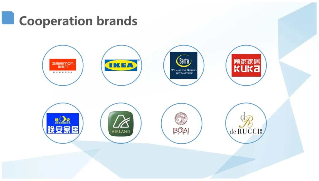 Europe Style Comfortable Latex Mattress Premium New Arrival King Queen Size 15cm Thickness Relaxor Massage Cushion