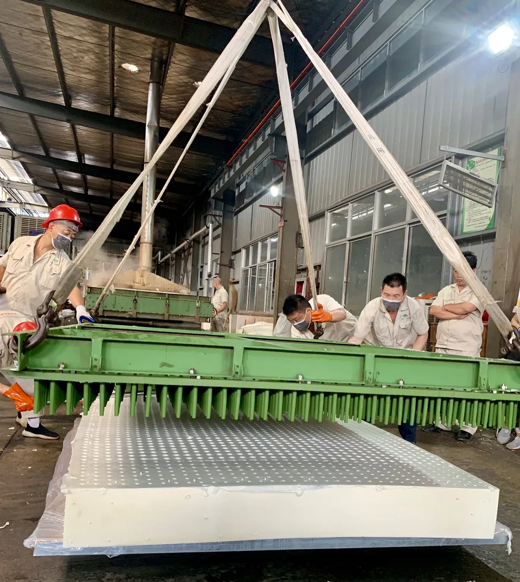 Europe Style Comfortable Latex Mattress Premium New Arrival King Queen Size 15cm Thickness Relaxor Massage Cushion