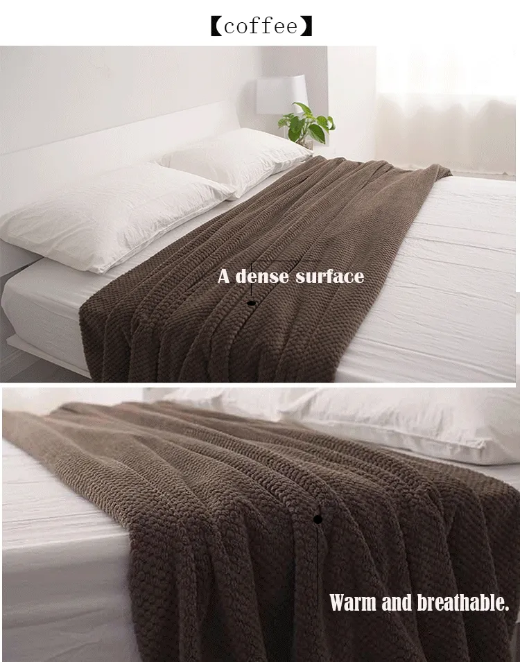 Fleece Blanket OEM Super Soft 100% Polyester Flannel Winter Travel Plush Coral Fleece Blanket