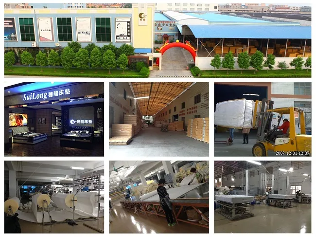 Hybride Mattress Wholesale Latex Mattress Best Mattress Store Near Me