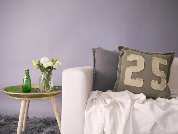 Soft and Wearable Cotton Cushions Sofa Pleasant Pillows