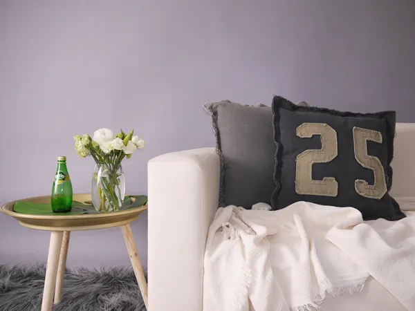 Soft and Wearable Cotton Cushions Sofa Pleasant Pillows