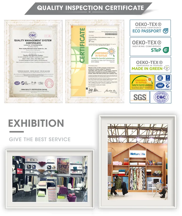 Strong Grizzly Bear in The Forest Vintage Grunge Look Life in The Mountains Theme, Decorative 3 Piece Bedding Set with 2 Pillow Shams