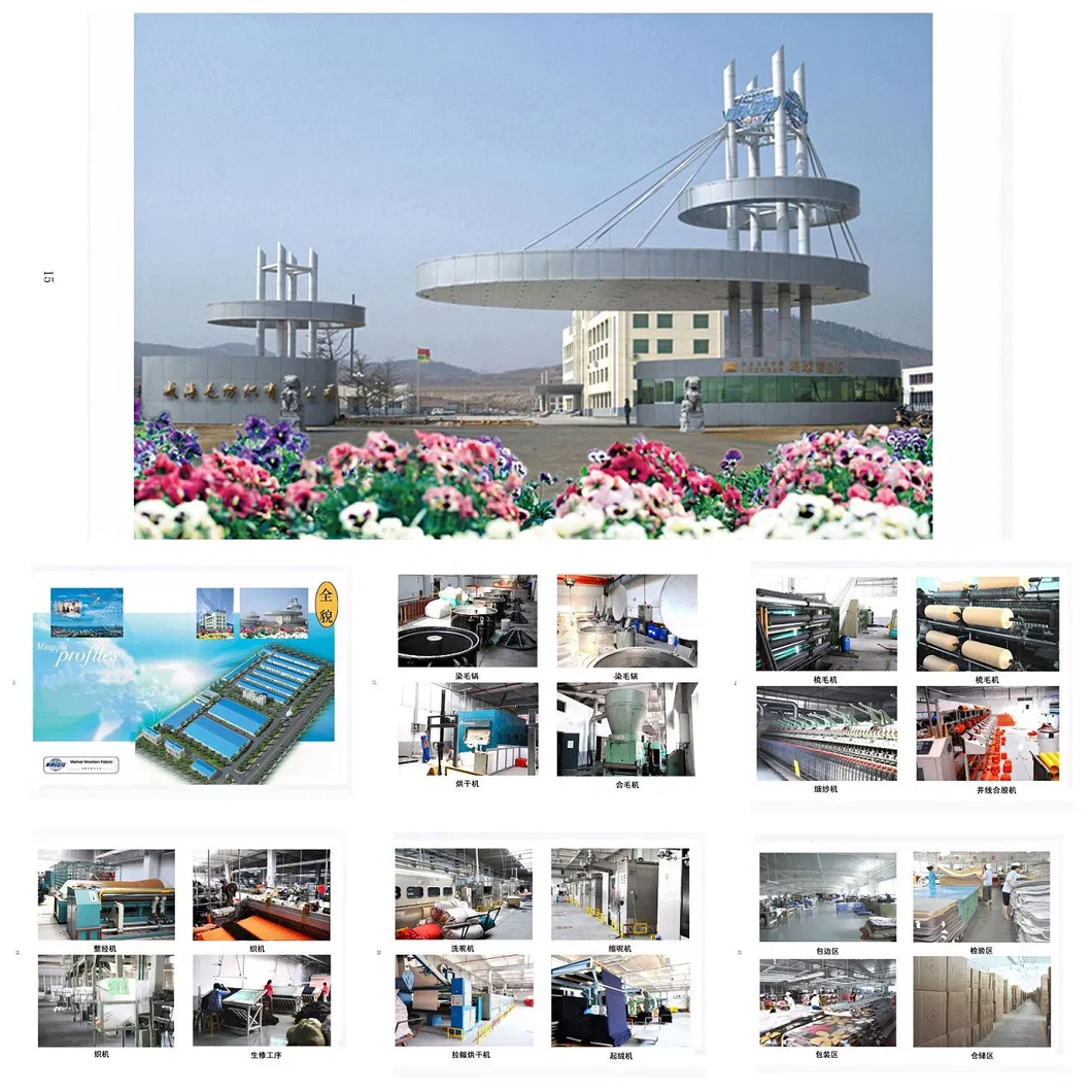 Super Soft Warm Raschel Mink Wool Blanket