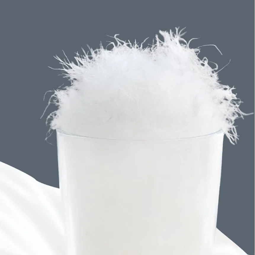Wholesales Premium Quality 50% White Goose Down 50% White Goose Feather Hotel Bedroom Neck Pillow Insert